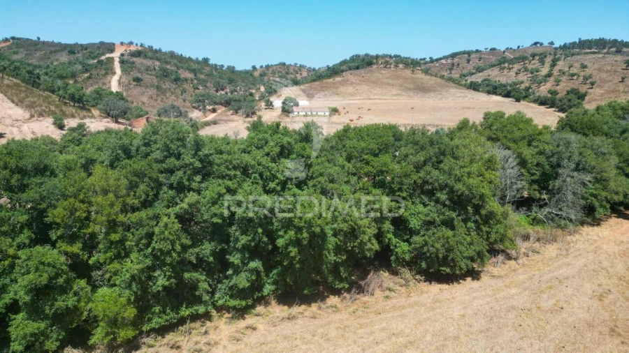 Quinta T6 para Venda em São Salvador e Santa Maria Foto 21