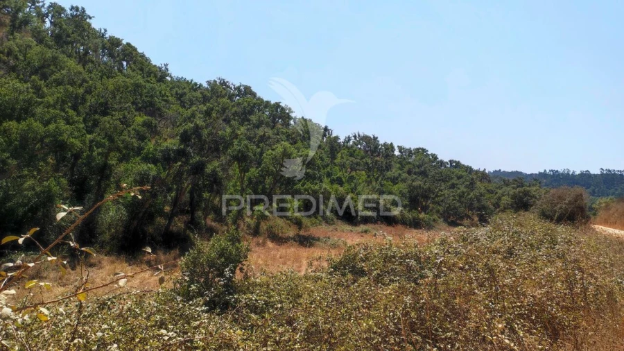 Quinta T6 para Venda em São Salvador e Santa Maria Foto 23