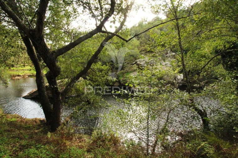 Quinta T6 para Venda em São Salvador e Santa Maria Foto 37