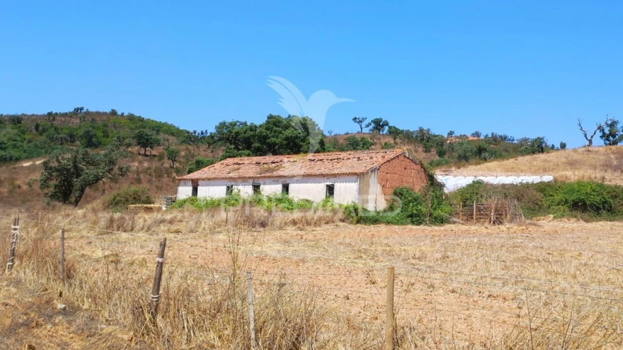 Quinta T6 para Venda em São Salvador e Santa Maria