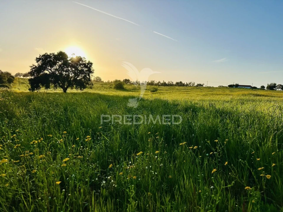 Moradia T4 para Venda em Vale de Santiago Foto 17