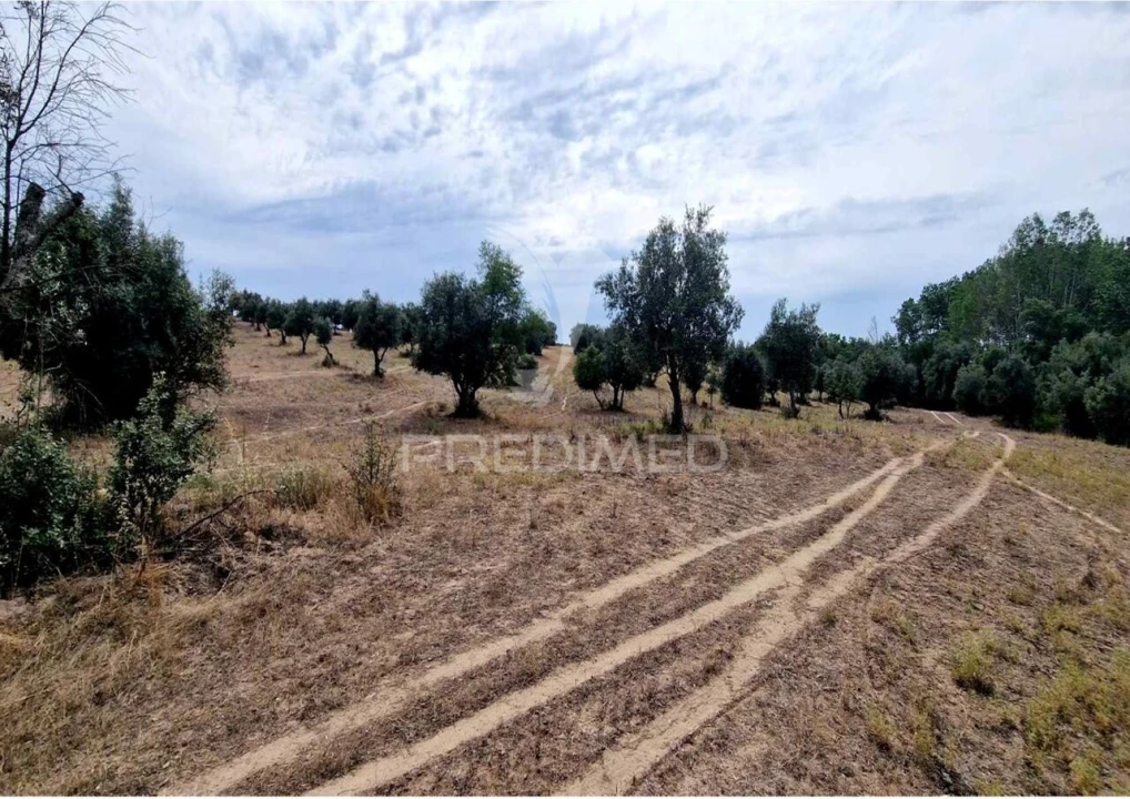 Terreno para Venda em Torrão Foto 4