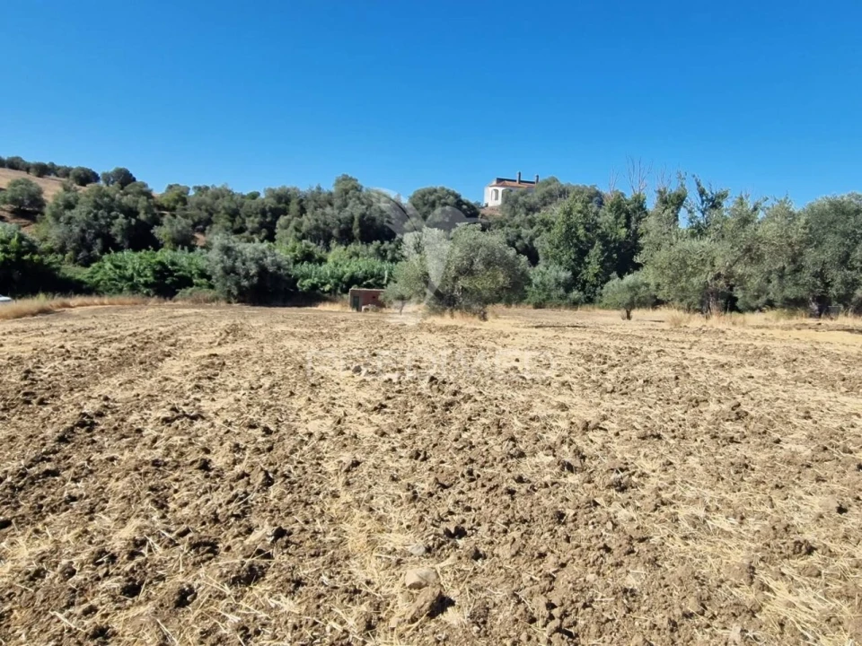 Terreno para Venda em Torrão Foto 6