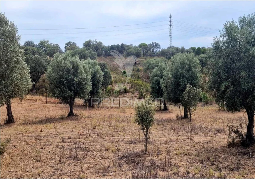 Terreno para Venda em Torrão Foto 3