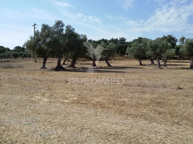 Terreno para Venda em Torrão Foto 2