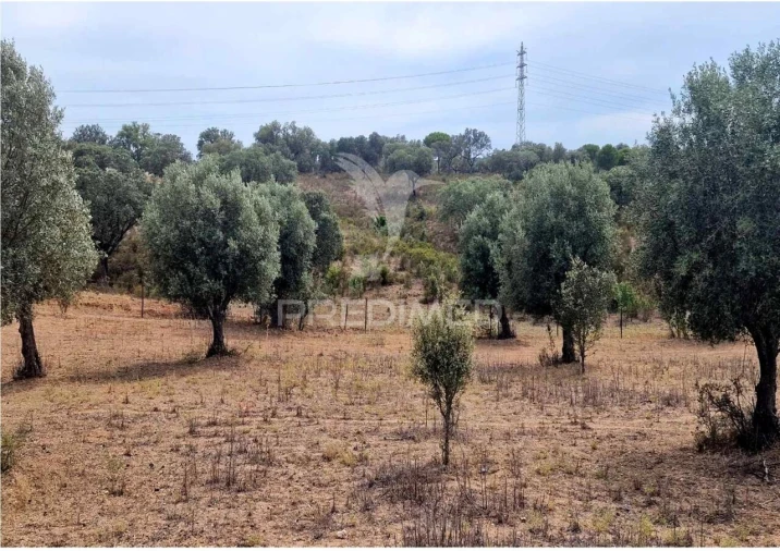 Terreno para Venda em Torrão Foto 3