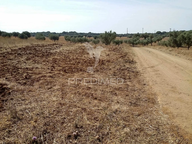 Terreno para Venda em Torrão Foto 6