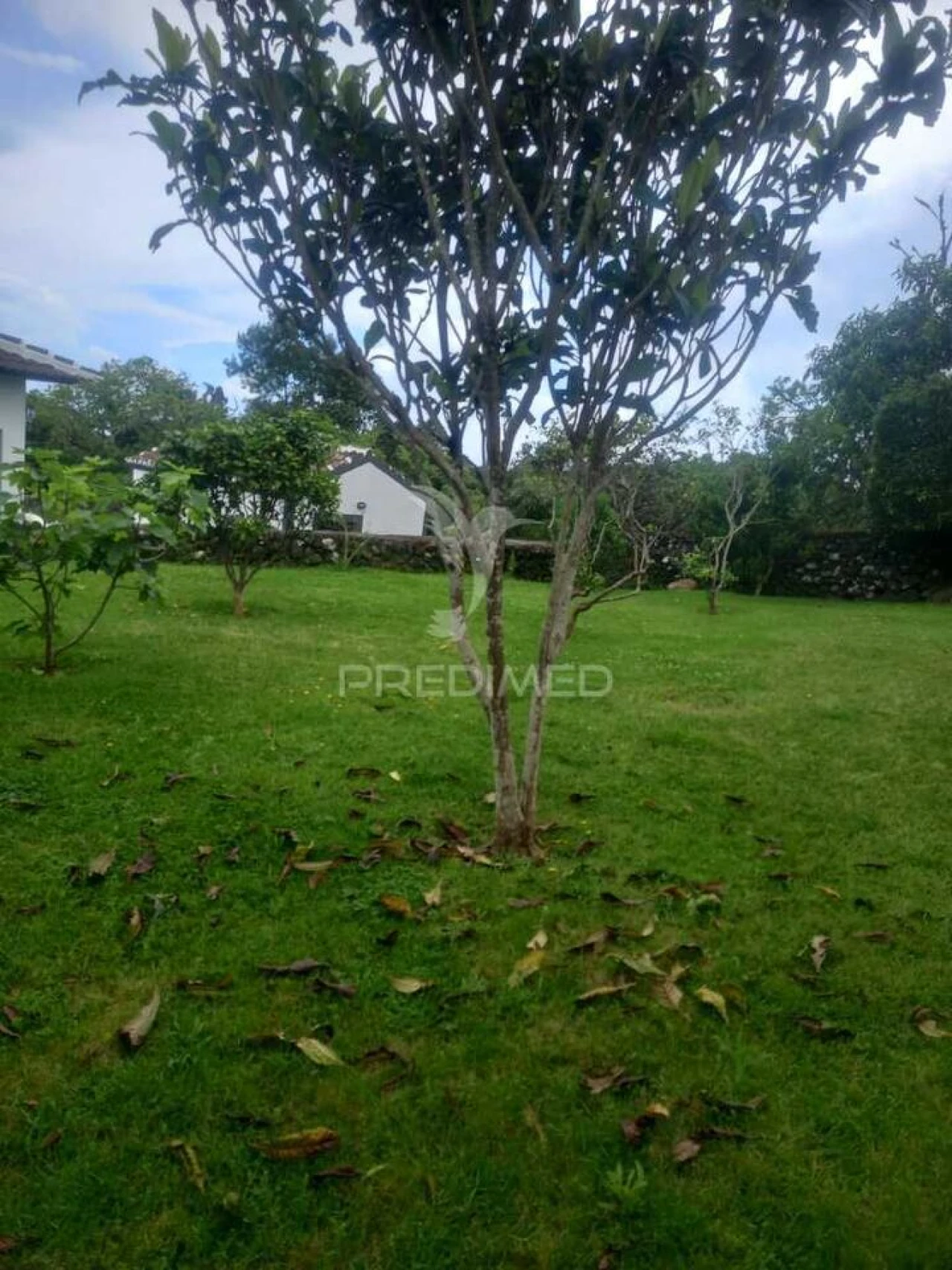 Moradia T3 para Venda em Terra Chã Foto 27