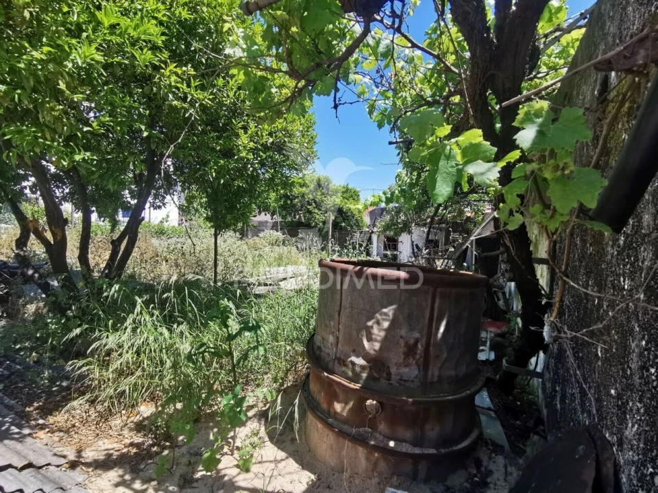 Terreno para Venda em Vila Nova da Barquinha Foto 10