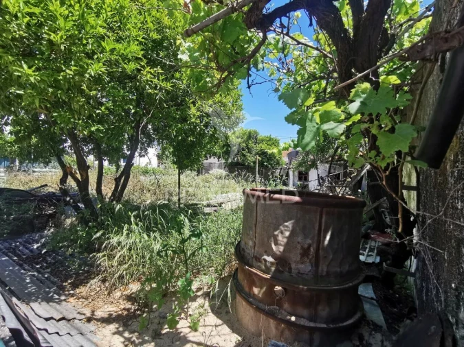 Terreno para Venda em Vila Nova da Barquinha Foto 9