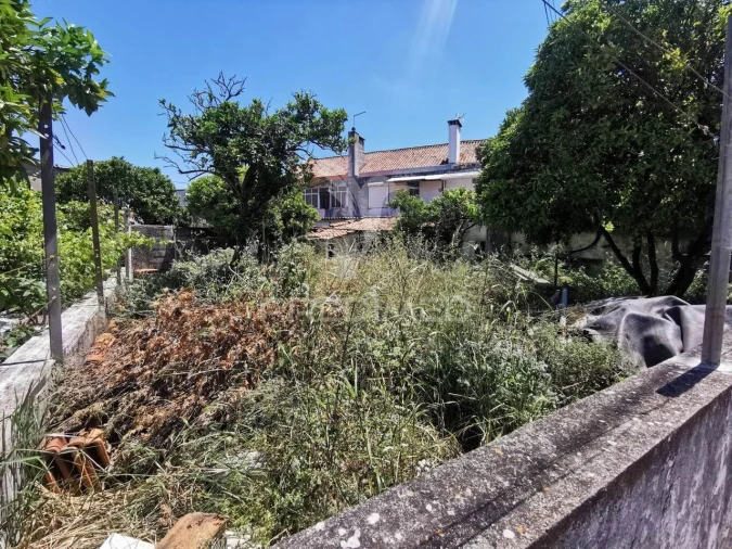 Terreno para Venda em Vila Nova da Barquinha Foto 6