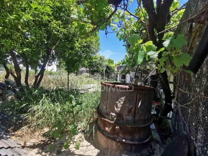 Terreno para Venda em Vila Nova da Barquinha Foto 10