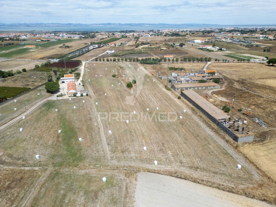 Terreno para Venda em São Francisco Foto 2