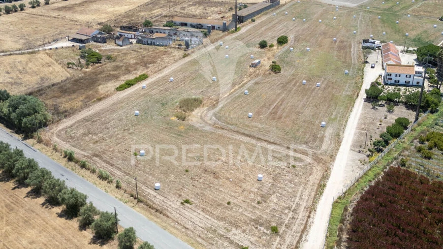 Terreno para Venda em São Francisco