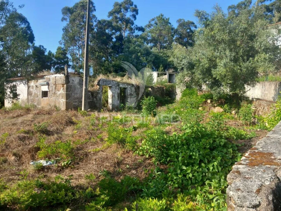 Moradia T0 para Venda em Cossourado Foto 17