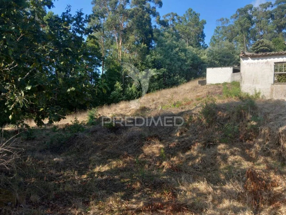 Moradia T0 para Venda em Cossourado Foto 16