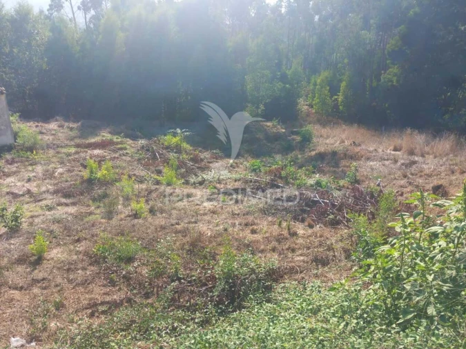 Moradia T0 para Venda em Cossourado Foto 5