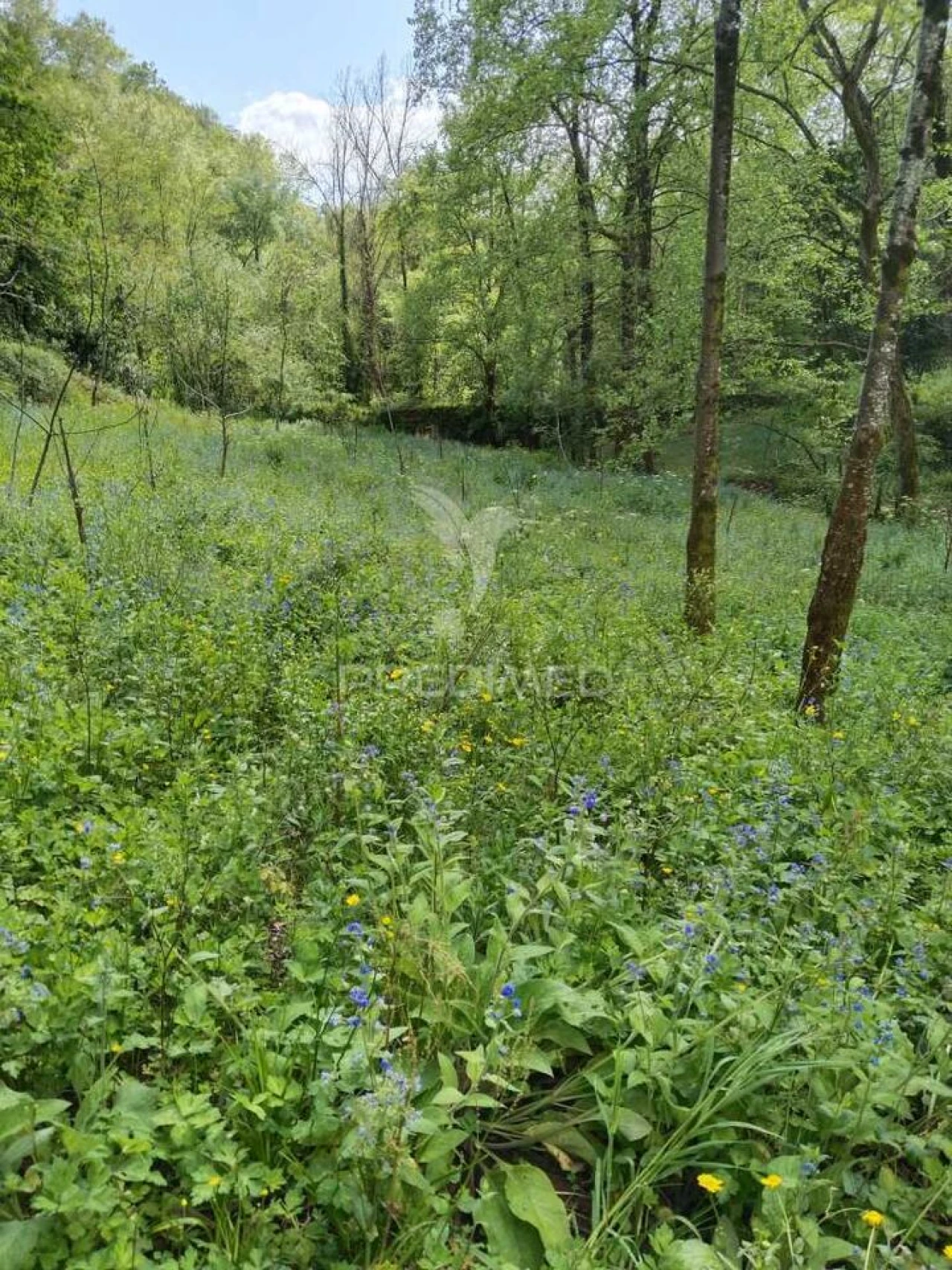 Terreno para Venda em Jugueiros Foto 4