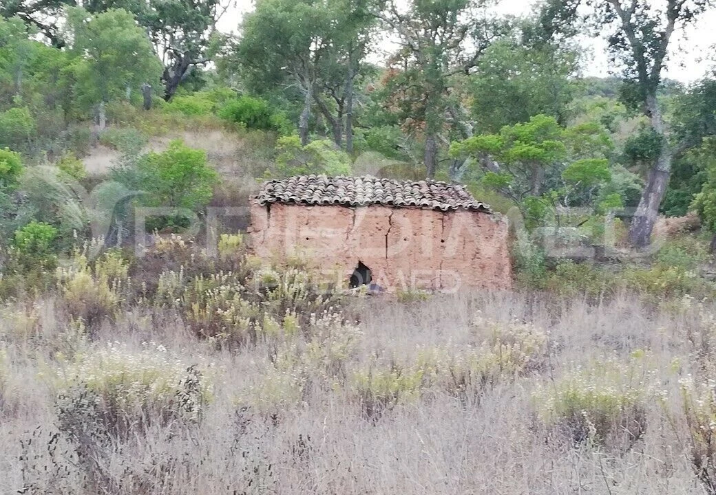 Moradia T0 para Venda em São Bartolomeu de Messines Foto 2