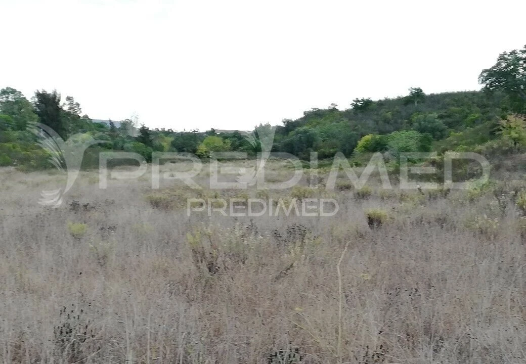 Moradia T0 para Venda em São Bartolomeu de Messines Foto 3