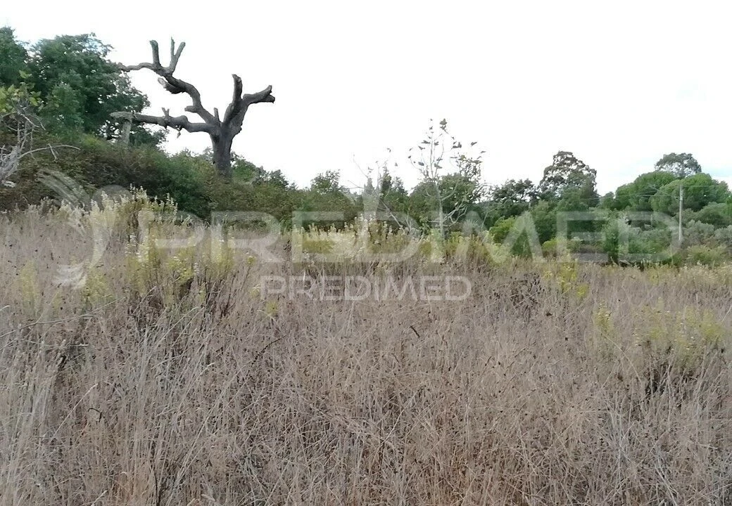 Moradia T0 para Venda em São Bartolomeu de Messines Foto 4