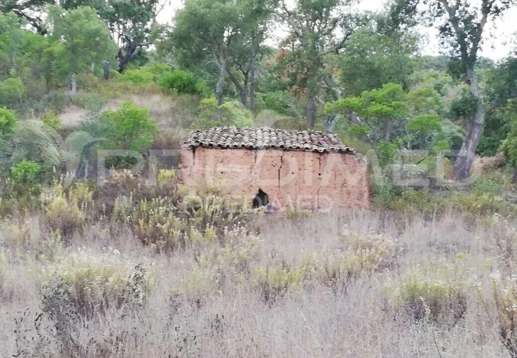 Moradia T0 para Venda em São Bartolomeu de Messines Foto 2