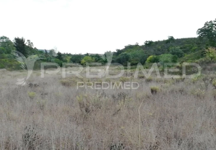 Moradia T0 para Venda em São Bartolomeu de Messines Foto 3