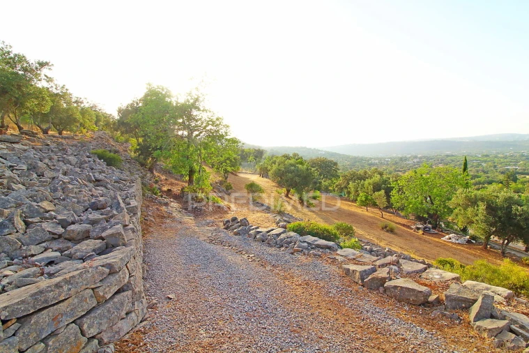 Moradia T3 para Venda em Santa Barbara de Nexe Foto 15