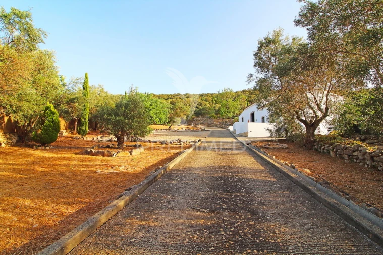 Moradia T3 para Venda em Santa Barbara de Nexe Foto 8