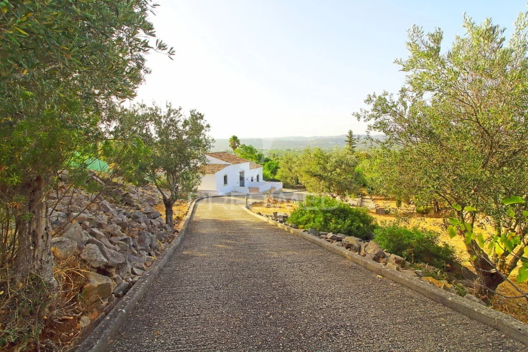 Moradia T3 para Venda em Santa Barbara de Nexe Foto 14