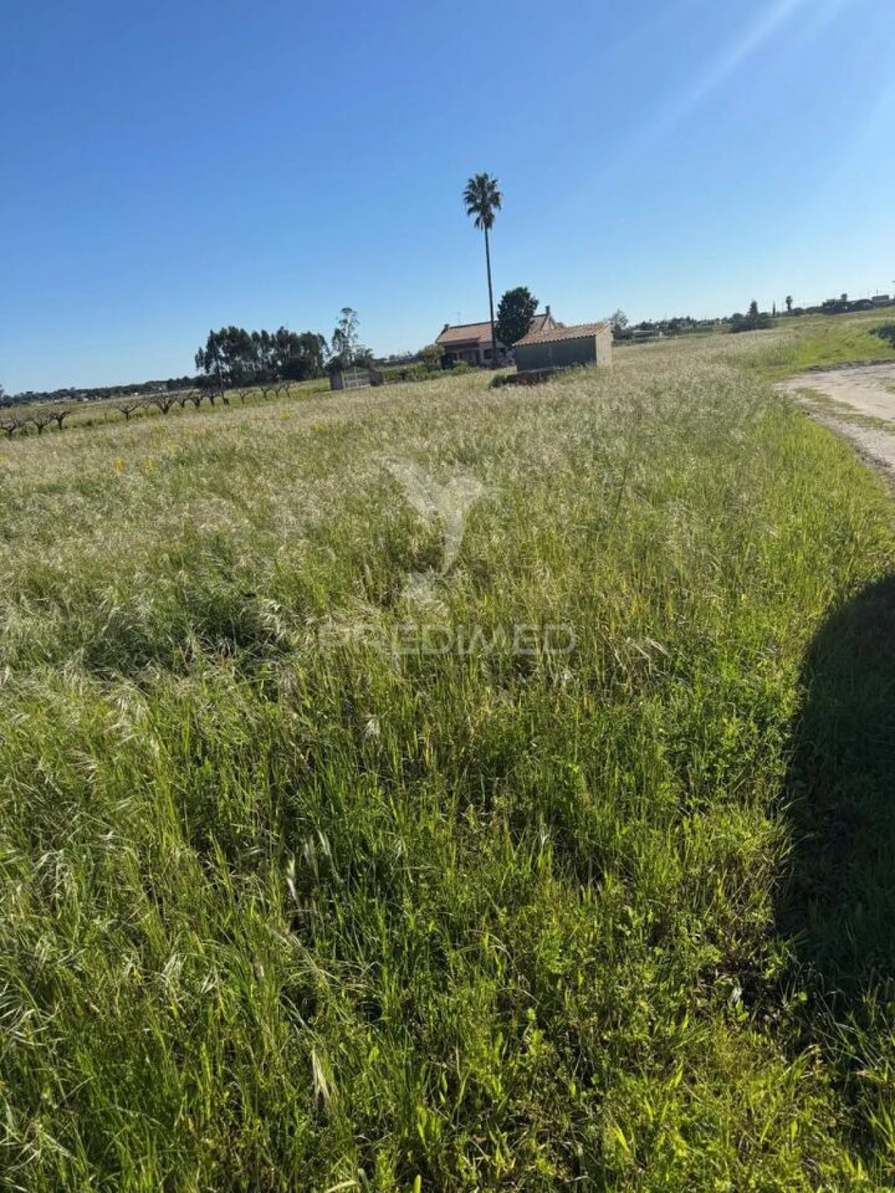 Terreno para Venda em Gambia-Pontes-Alto da Guerra Foto 3