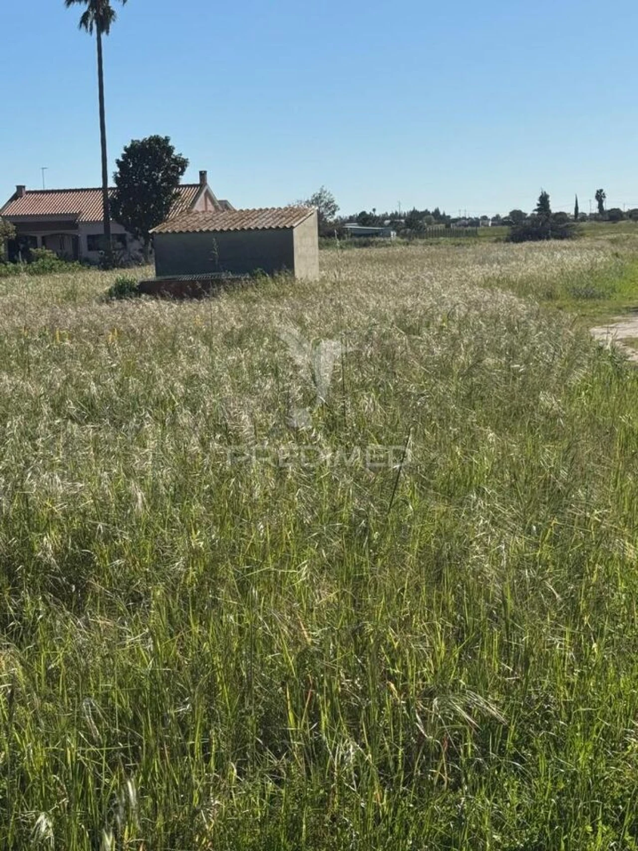 Terreno para Venda em Gambia-Pontes-Alto da Guerra Foto 6