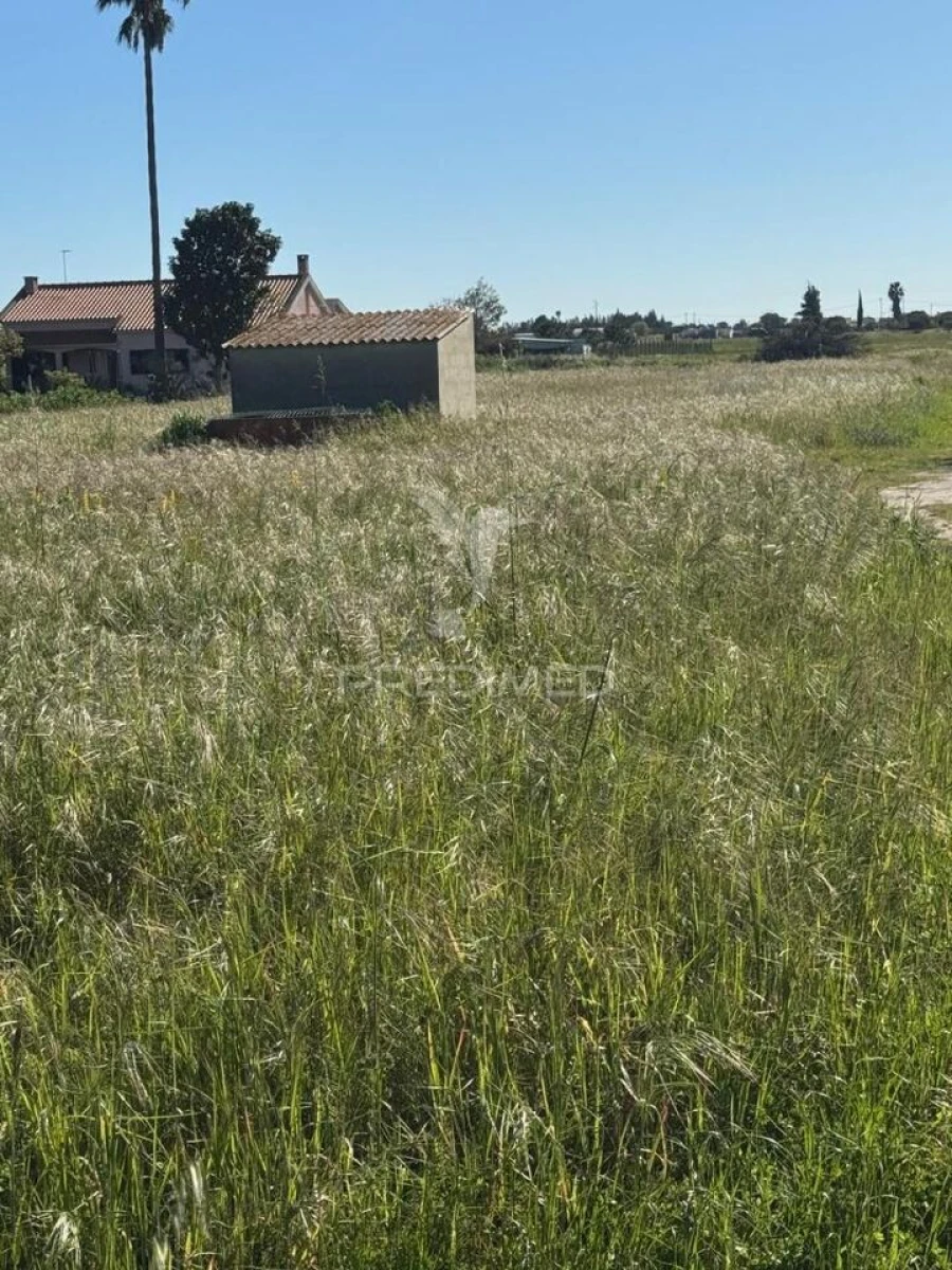 Terreno para Venda em Gambia-Pontes-Alto da Guerra Foto 6