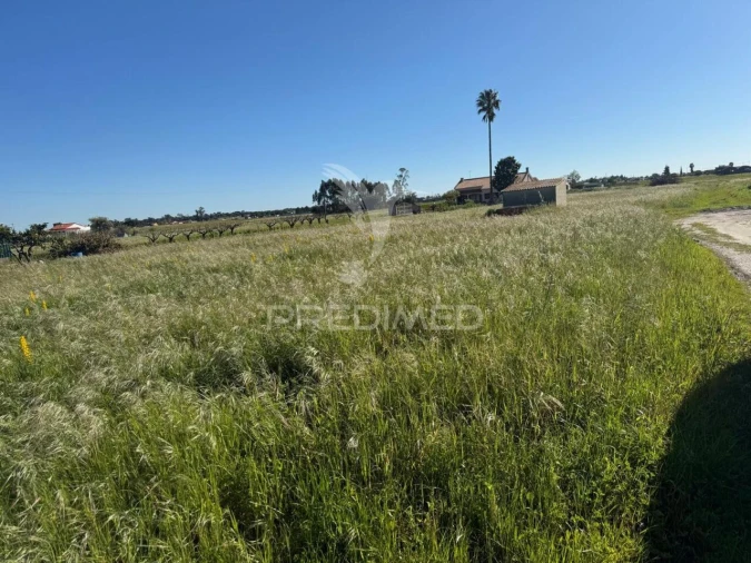 Terreno para Venda em Gambia-Pontes-Alto da Guerra Foto 2