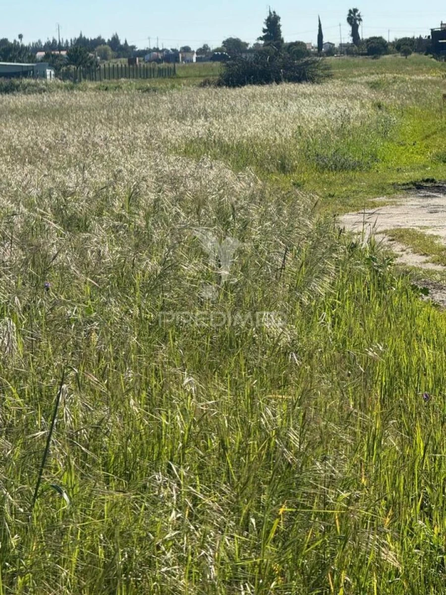 Terreno para Venda em Gambia-Pontes-Alto da Guerra Foto 5