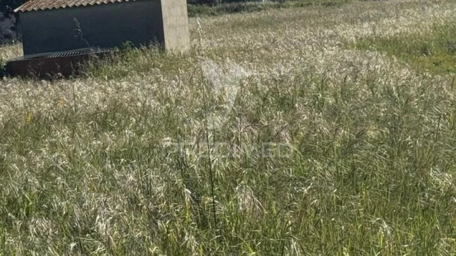 Terreno para Venda em Gambia-Pontes-Alto da Guerra