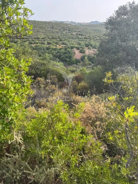 Terreno para Venda em São Brás de Alportel