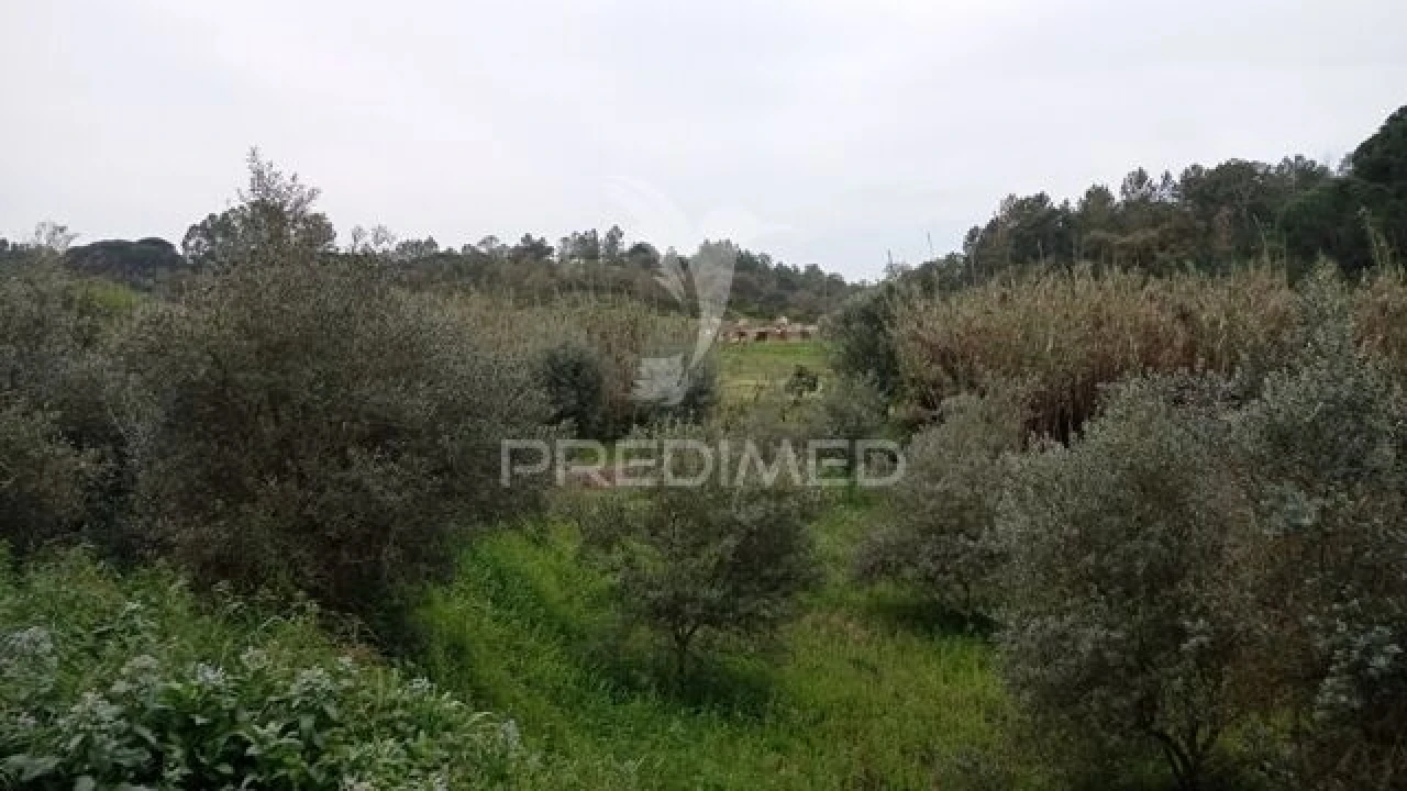 Moradia T2 para Venda em Bemposta Foto 21