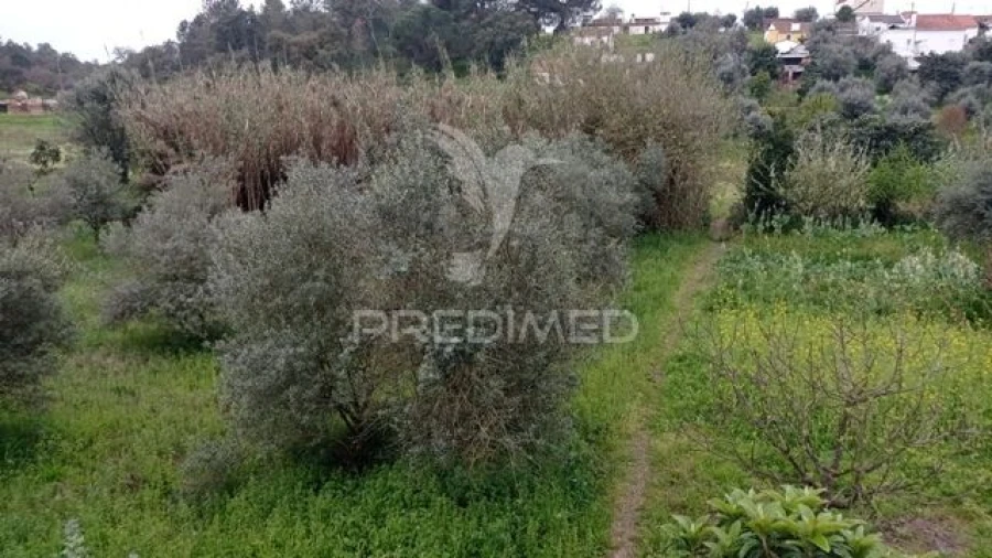 Moradia T2 para Venda em Bemposta Foto 22