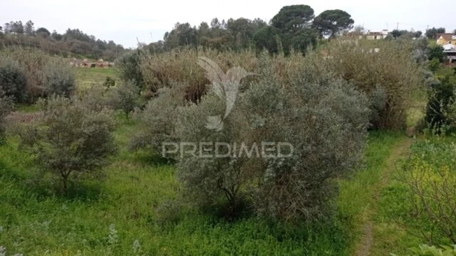 Moradia T2 para Venda em Bemposta Foto 20