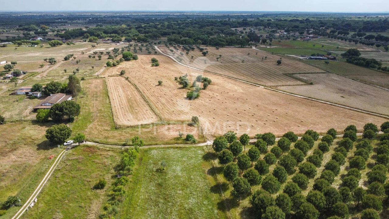 Quinta T0 para Venda em Torrão Foto 34