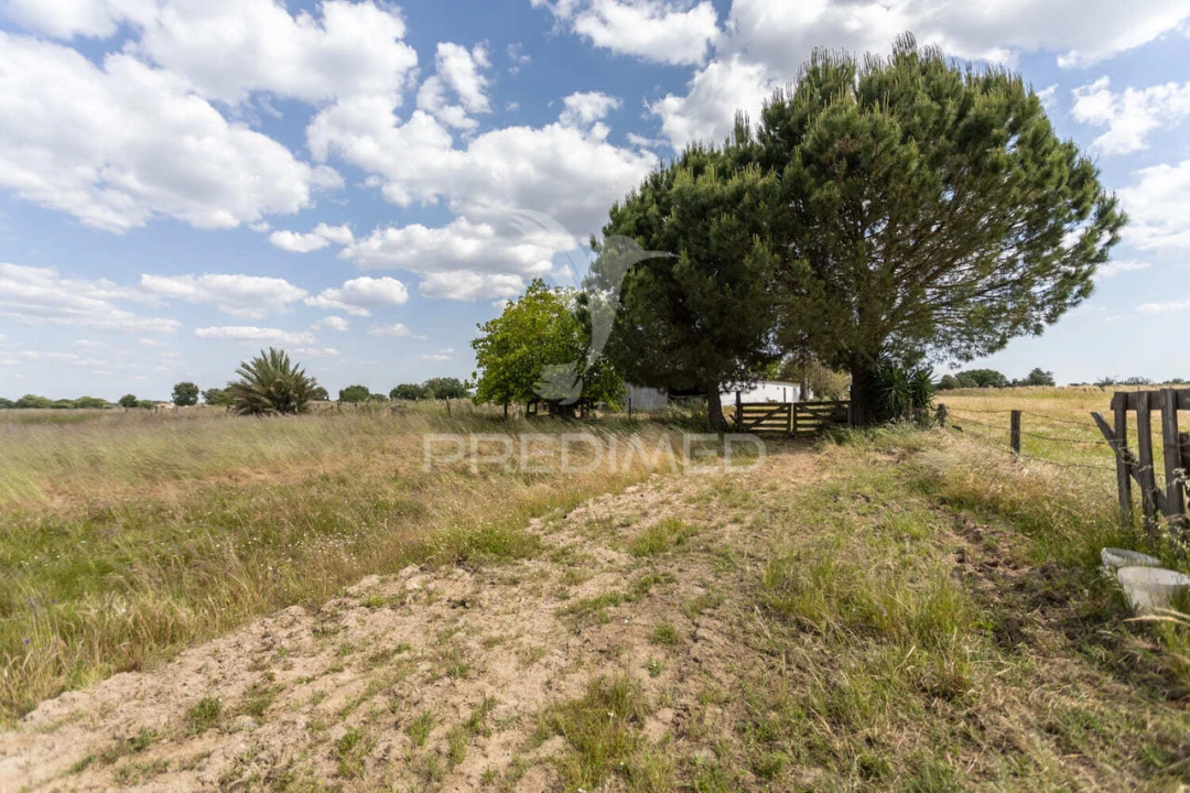 Quinta T0 para Venda em Torrão Foto 21