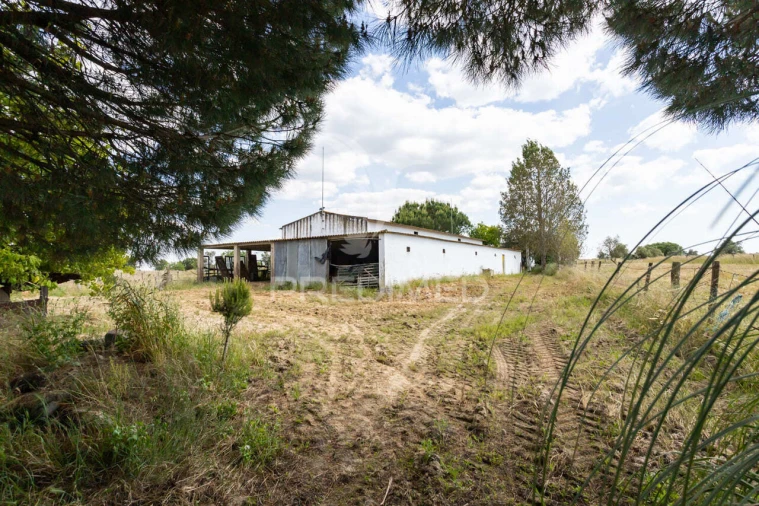 Quinta T0 para Venda em Torrão Foto 25