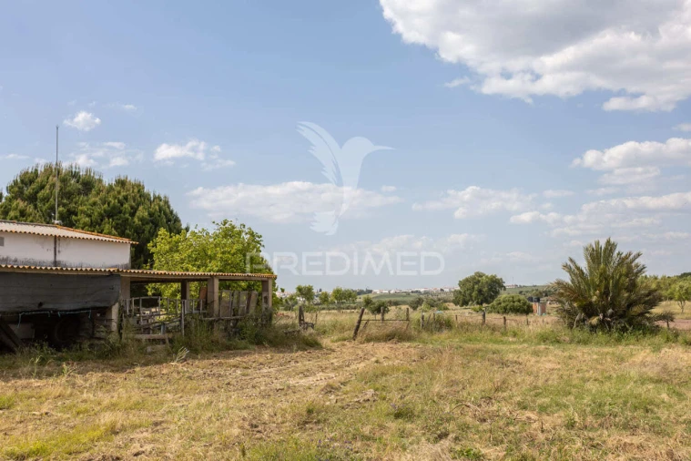 Quinta T0 para Venda em Torrão Foto 31