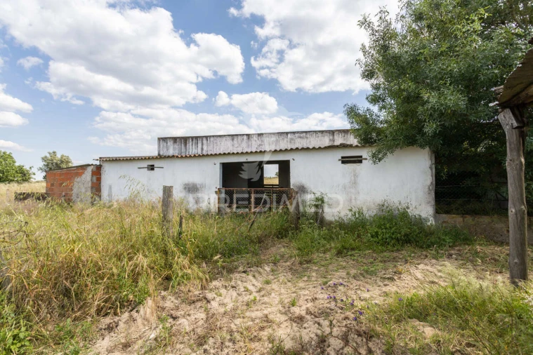 Quinta T0 para Venda em Torrão Foto 29