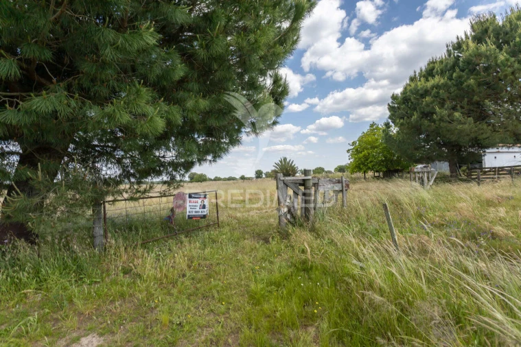 Quinta T0 para Venda em Torrão Foto 20