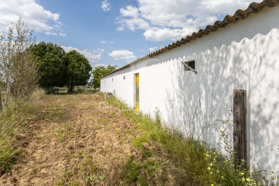 Quinta T0 para Venda em Torrão Foto 26
