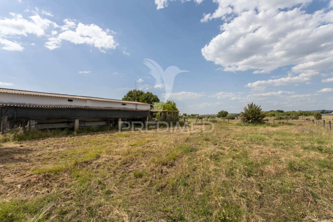 Quinta T0 para Venda em Torrão Foto 30