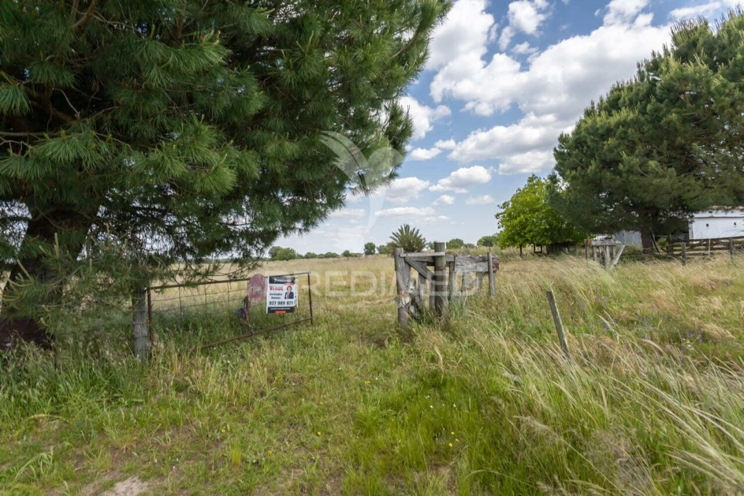Quinta T0 para Venda em Torrão Foto 20