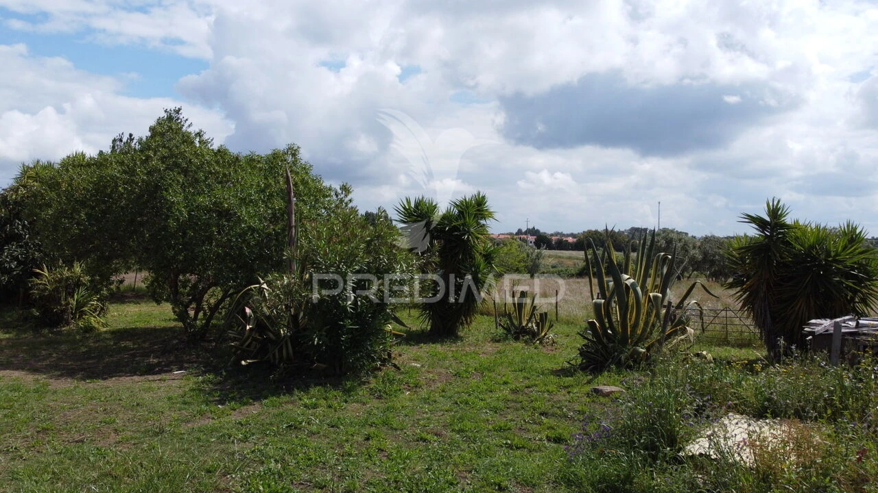 Quinta T3 para Venda em Vila Nova de Milfontes Foto 31